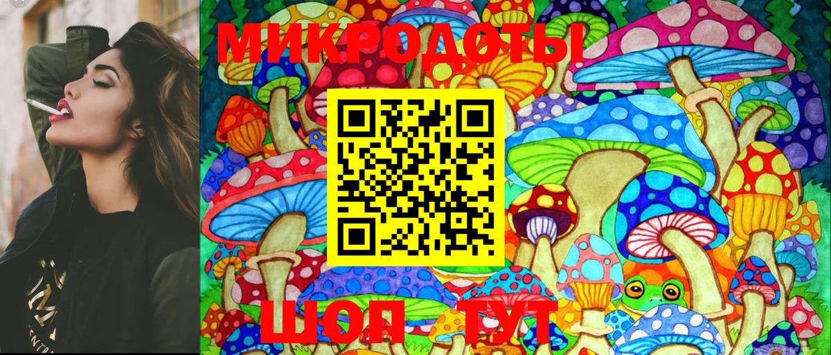Галлюциногенные грибы Psilocybe  Вход с VPN  Амурск 