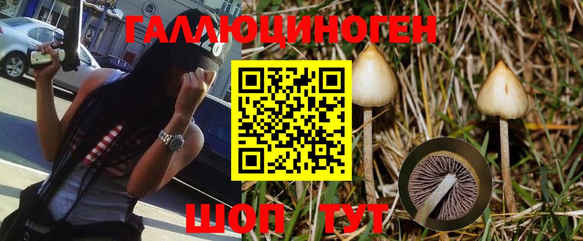 Галлюциногенные грибы прущие грибы Амурск
